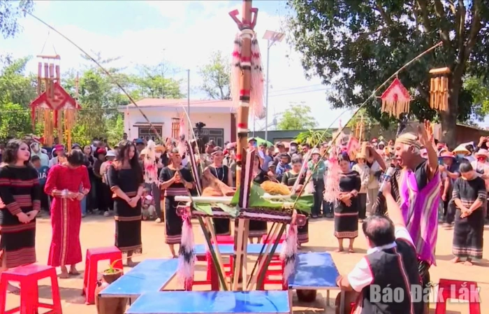 The New Rice Harvest Festival - The identity source of Xe Dang ethnicity