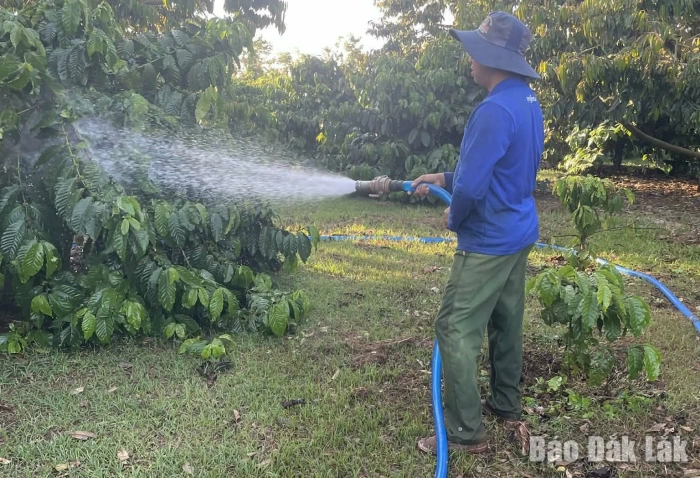 Adapting to maintain livelihoods