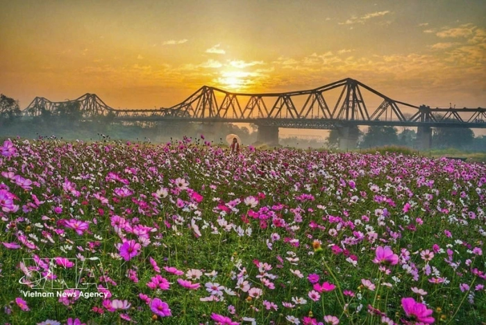 Vietnam sets out strategy to build stronger global national image