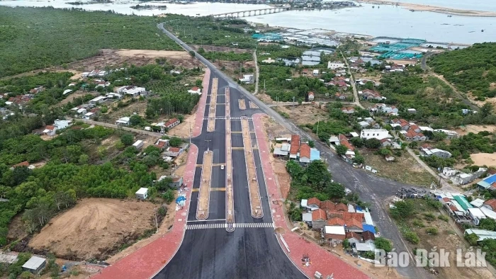 Tightening discipline, streamlining procedures to drive economic growth