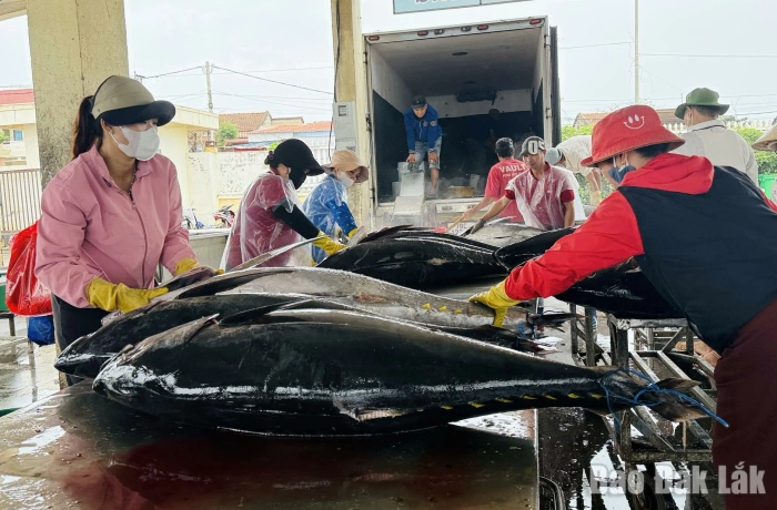 Tightening discipline in fisheries exploitation operations