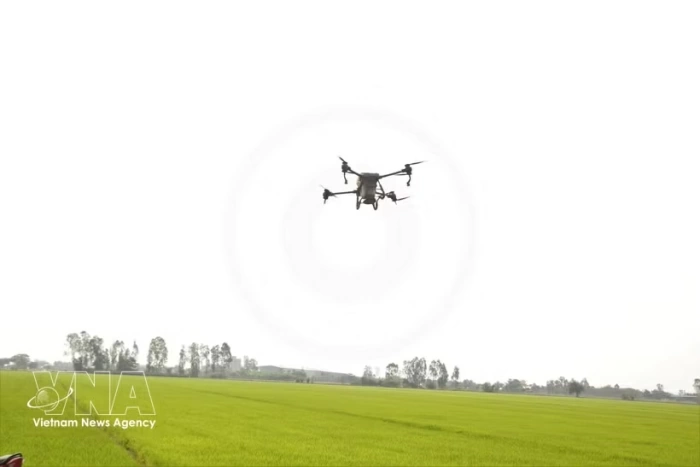 Low-altitude economy emerges as new growth driver for Vietnam