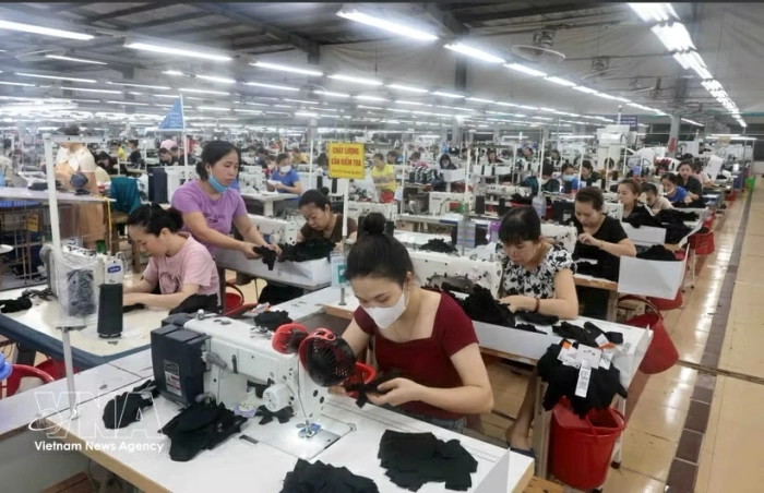 Policy push enhances private sector’s role in economic growth