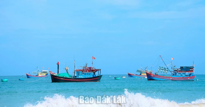 Peaceful charm of My Quang Nam fishing village