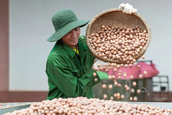 OCOP gives local specialties wider reach