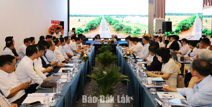Discussing solutions for developing industrial parks and clusters linked to deep processing and interregional logistics