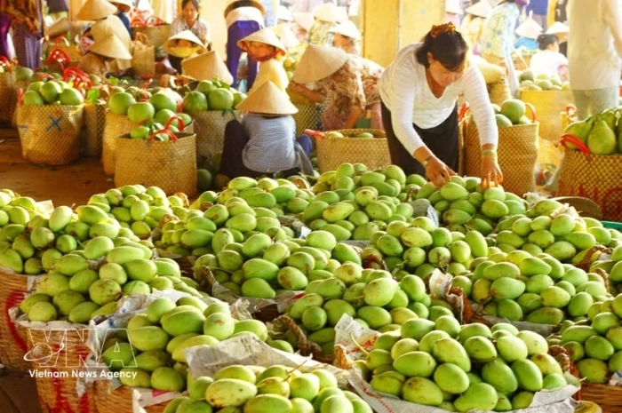 Trade drives growth momentum for Vietnam's economy in seven months