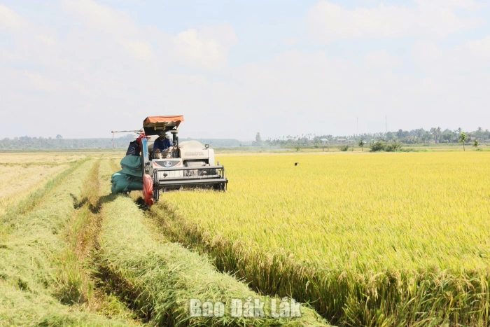 Entering the Halal Market: Enhancing the capacity of Dak Lak enterprises