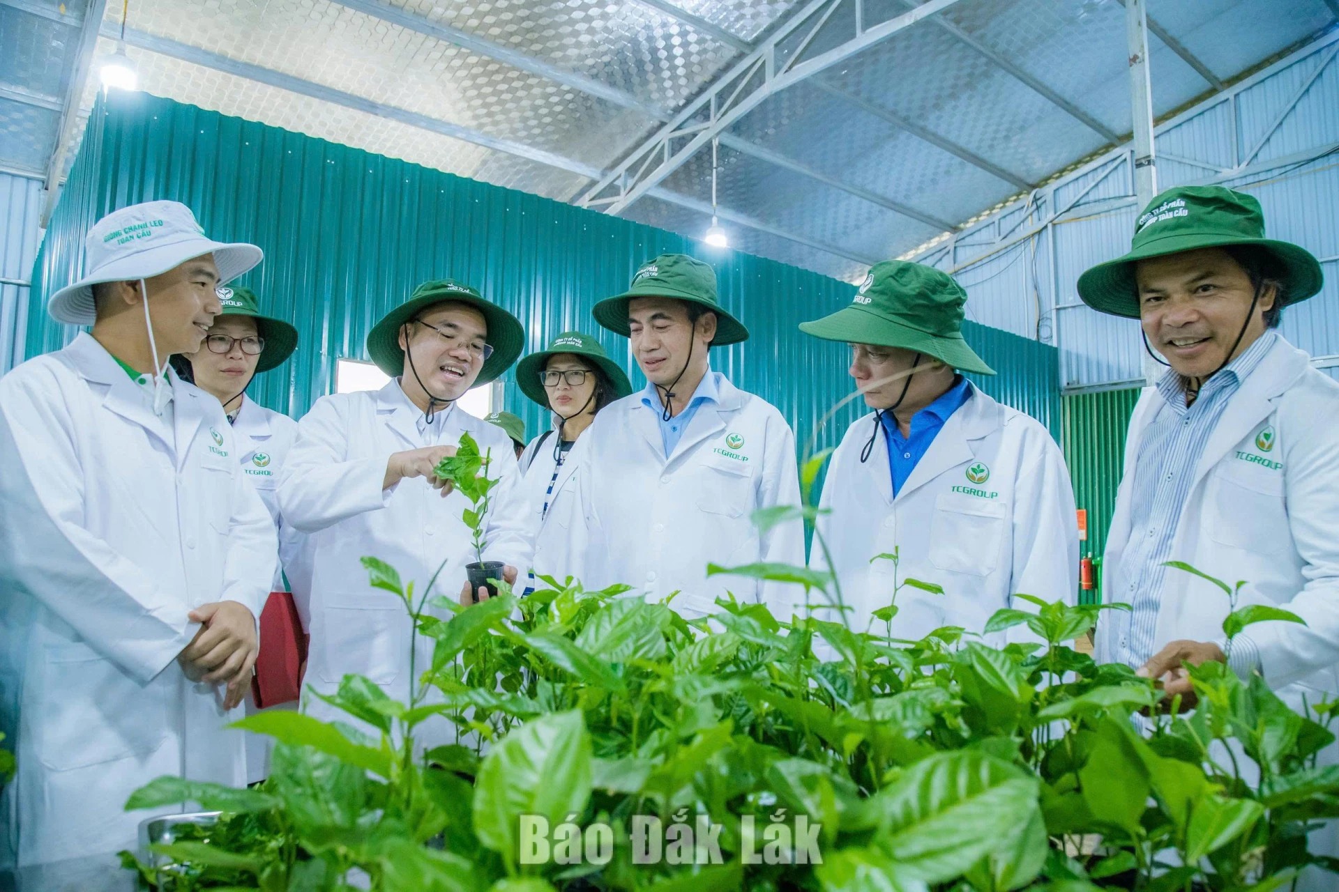 From high-tech agriculture to a new development ecosystem