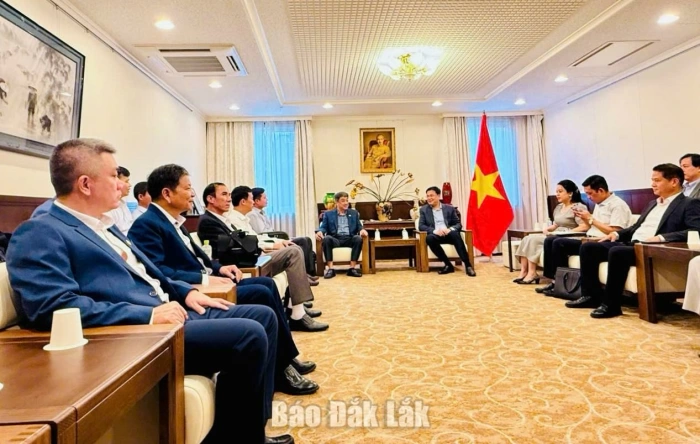 Dak Lak steps up investment promotion, cooperation with Japan