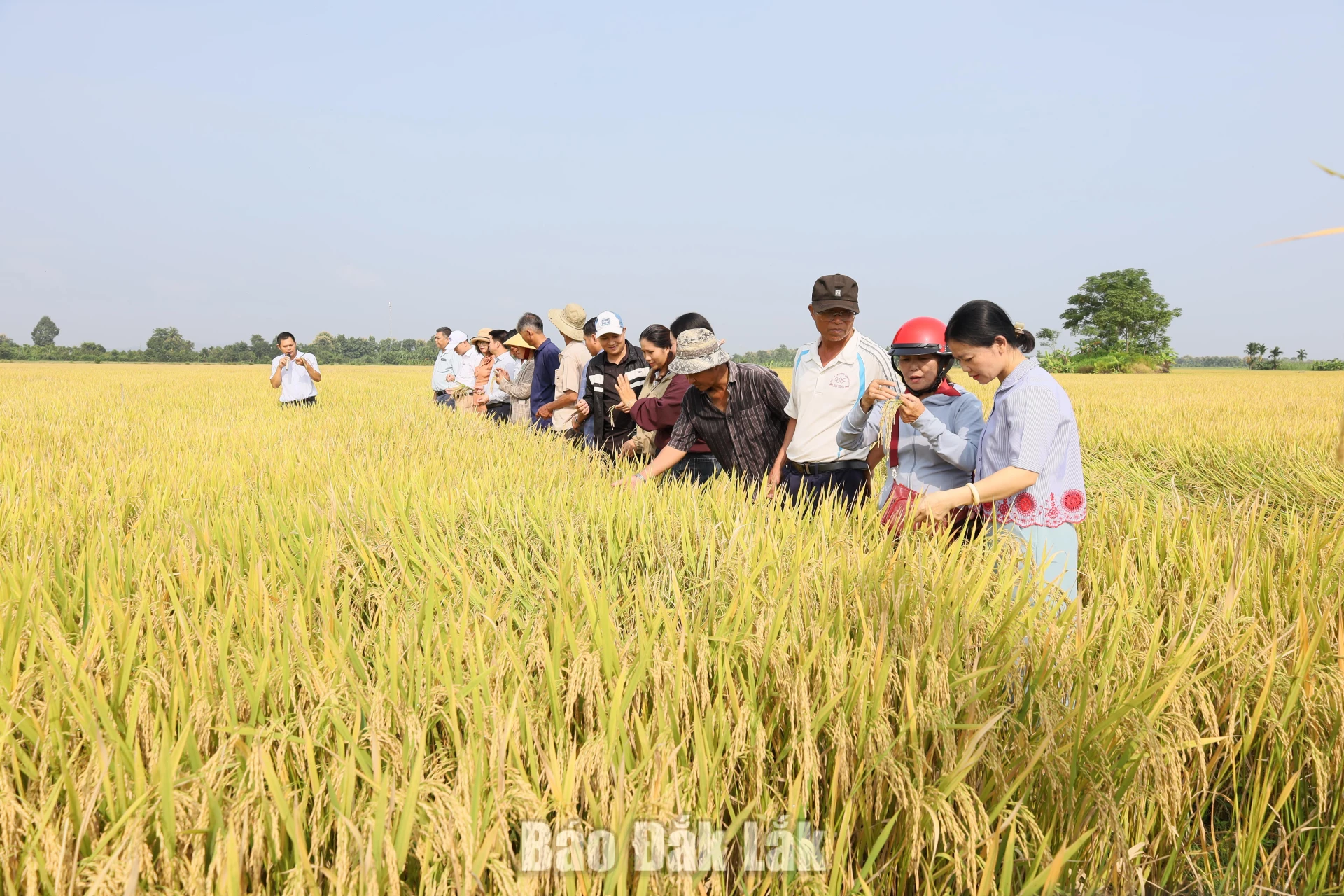 Regenerative agriculture: A solution for green growth and emission reduction