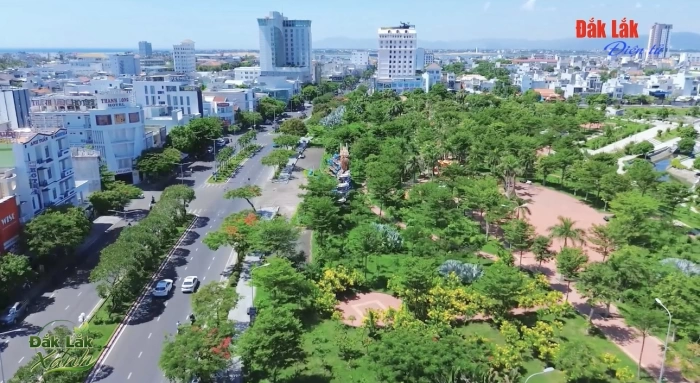 (Video) Bảo tồn cây bản địa, gìn giữ môi trường xanh