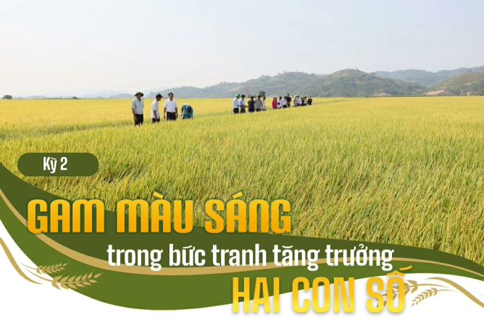 (E-Magazine) Mở rộng không gian tăng trưởng cho nông nghiệp Đắk Lắk - Kỳ 2: Gam màu sáng trong bức tranh tăng trưởng hai con số