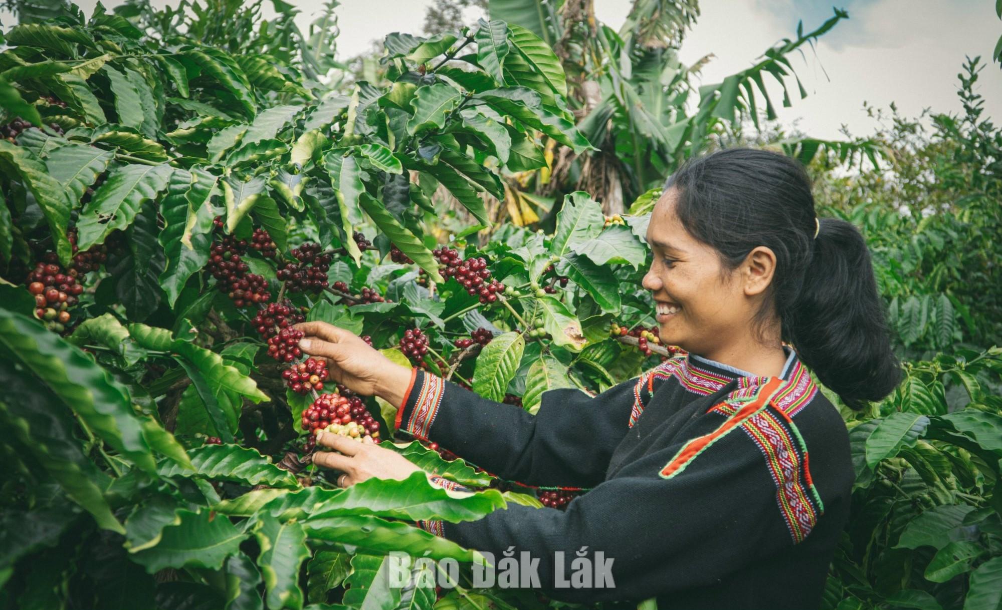 Positioning local brands through cultural identity
