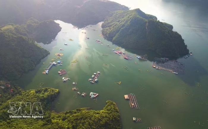 Viet Nam pushes tourism shift from volume to value