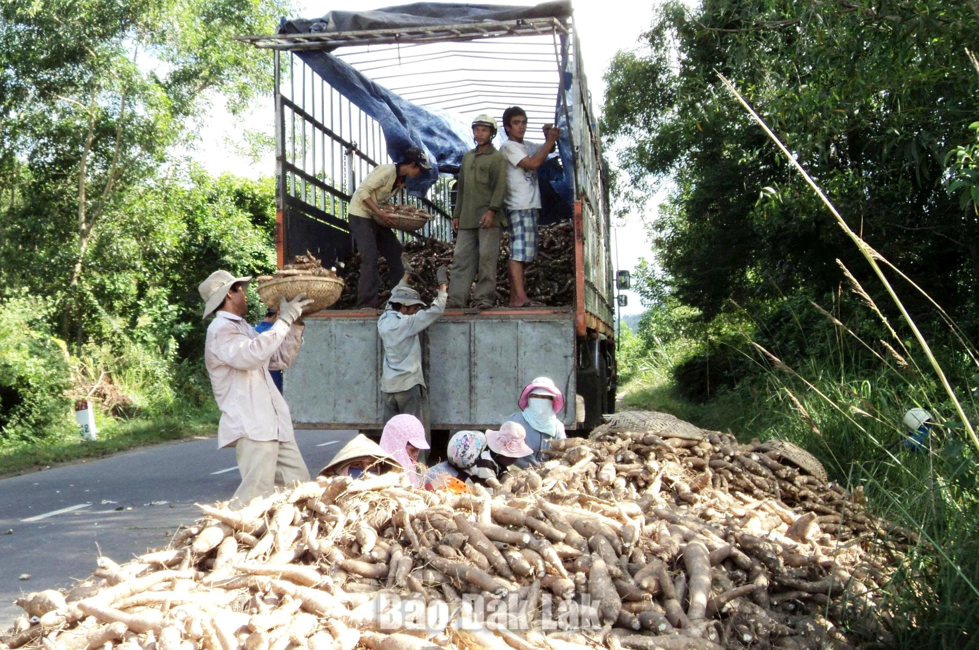 Developing green industry based on agricultural and forestry advantages