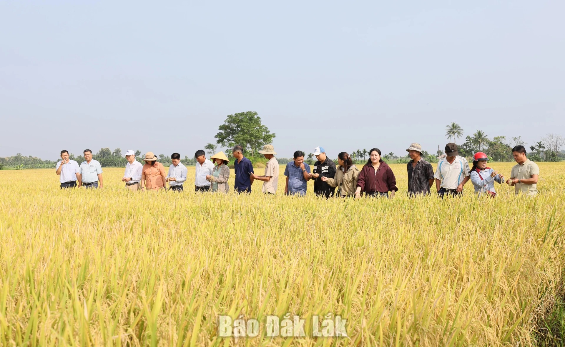 Environmental protection: A foundation and driver for development