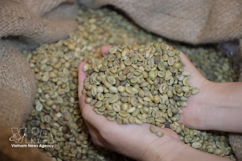 Viet Nam seeks greater control over global agricultural value chains