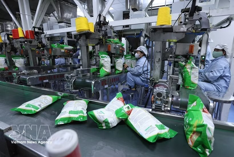 Viet Nam’s rice exports exceed 3.1 billion USD amid diverging markets